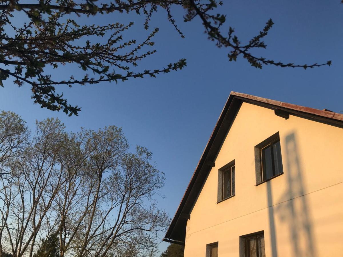 Apartman Ivko Letohrad Exteriör bild