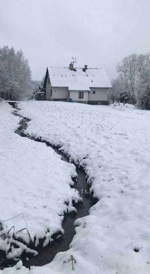 Apartman Ivko Letohrad Exteriör bild