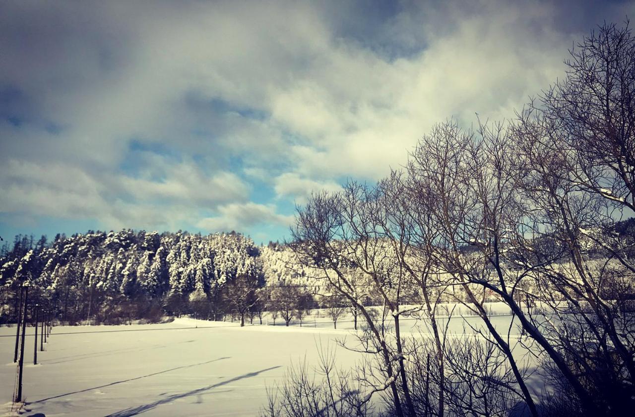 Apartman Ivko Letohrad Exteriör bild